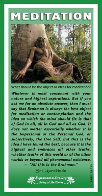 Meditation Object.jpg